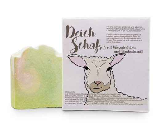 Seife Deichschaf